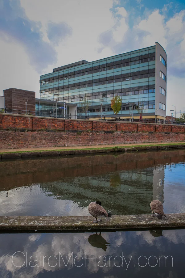 Architecture & Design -27.jpg