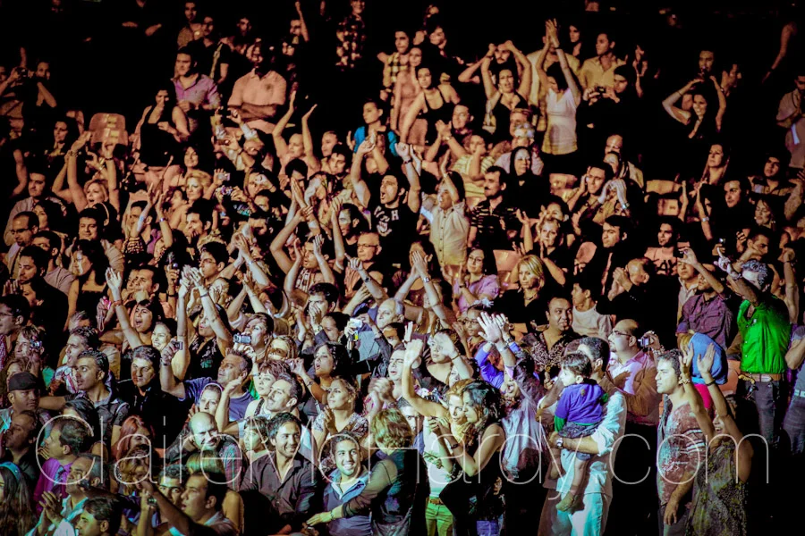 Concerts & Shows-7.jpg
