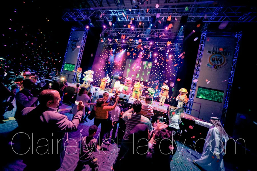 Concerts & Shows-63.jpg
