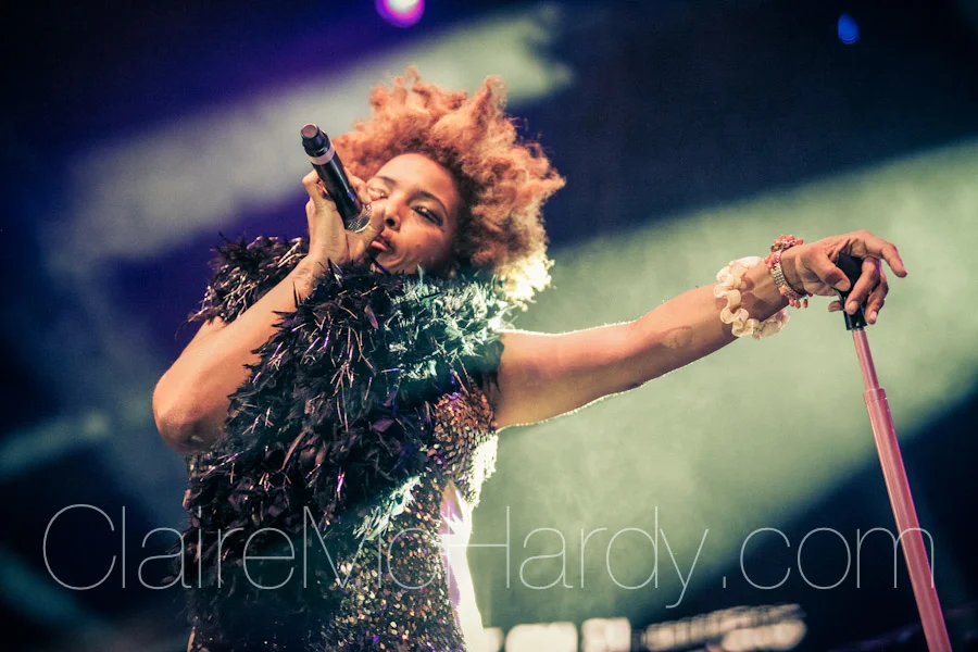 Concerts & Shows-147.jpg