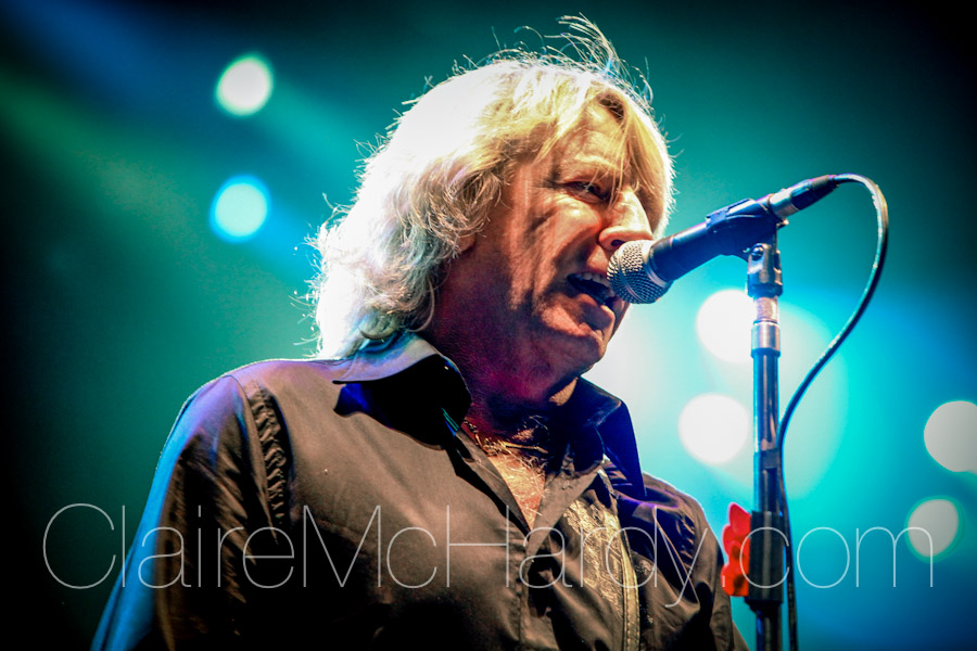 Concerts & Shows-62.jpg