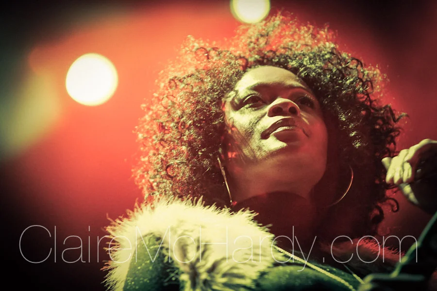Concerts & Shows-80.jpg
