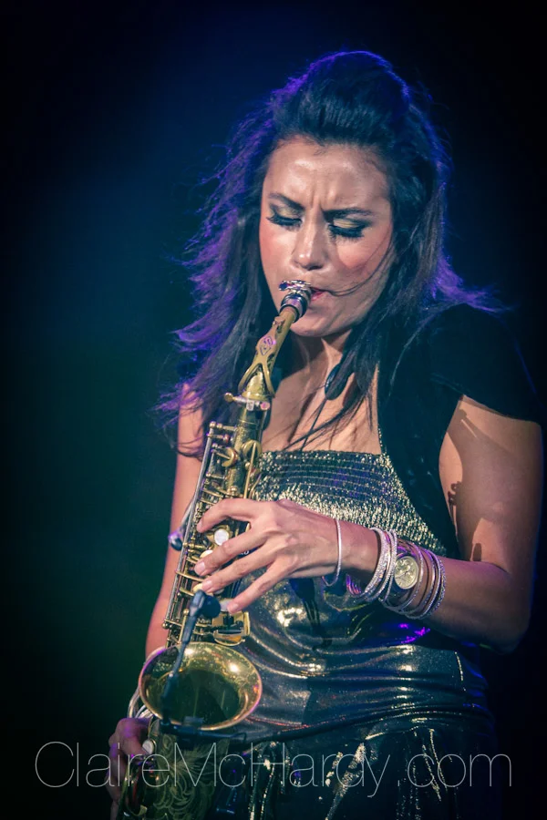 Concerts & Shows-157.jpg