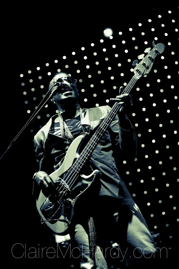 Concerts & Shows-66.jpg