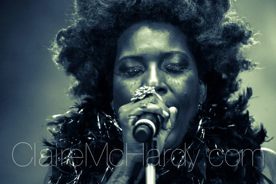 Concerts & Shows-151.jpg