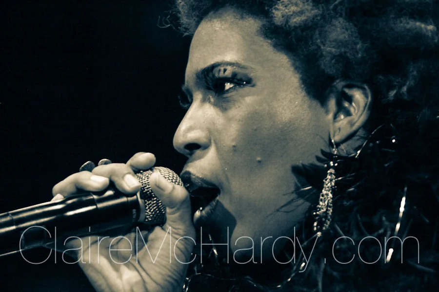 Concerts & Shows-153.jpg