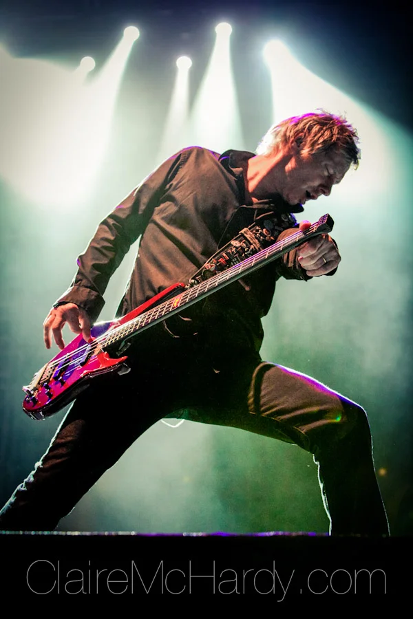 Concerts & Shows-58.jpg