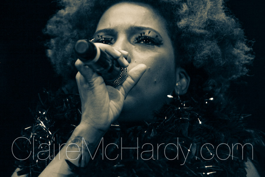 Concerts & Shows-152.jpg