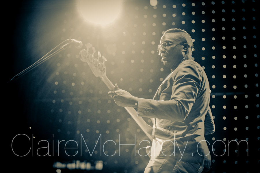 Concerts & Shows-67.jpg