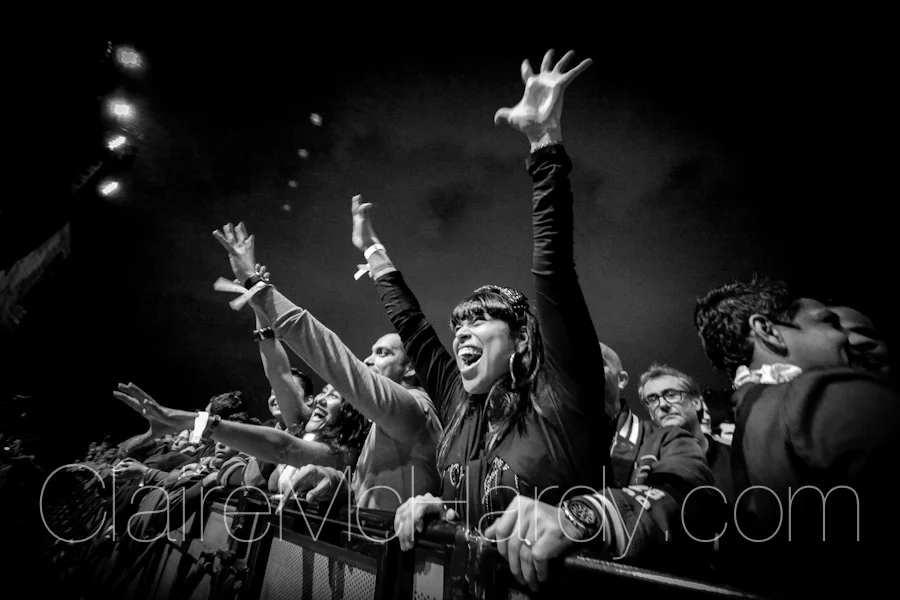 Concerts & Shows-127.jpg