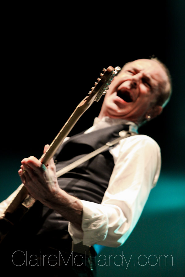 Concerts & Shows-57.jpg