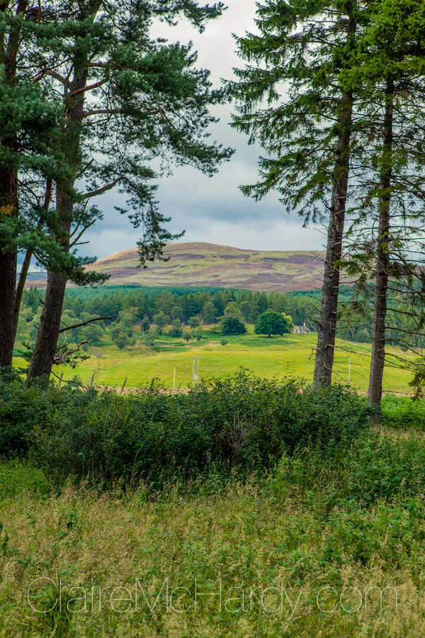 Landscape & Nature-10.jpg
