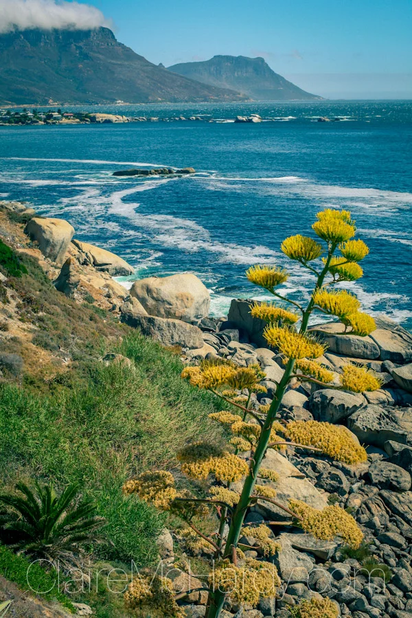 Landscape & Nature-37.jpg
