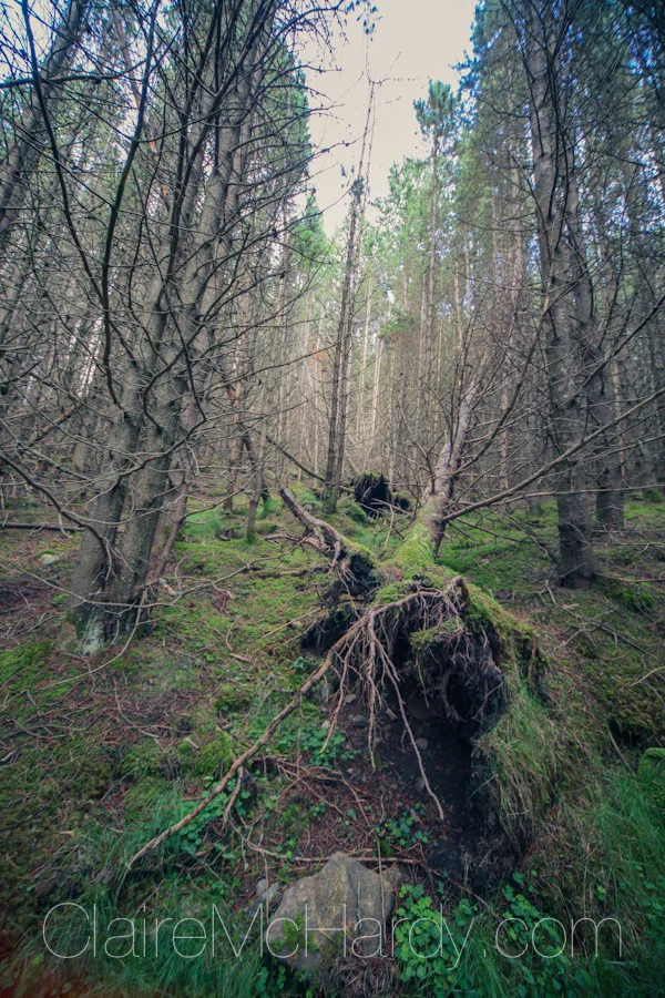 Landscape & Nature-27.jpg