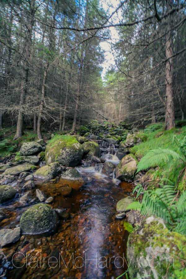 Landscape & Nature-28.jpg
