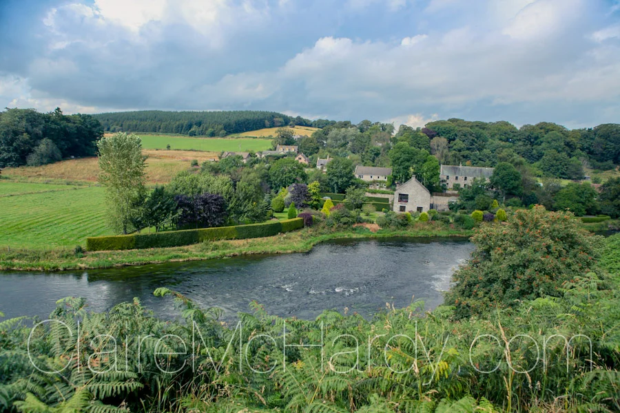 Landscape & Nature-3.jpg