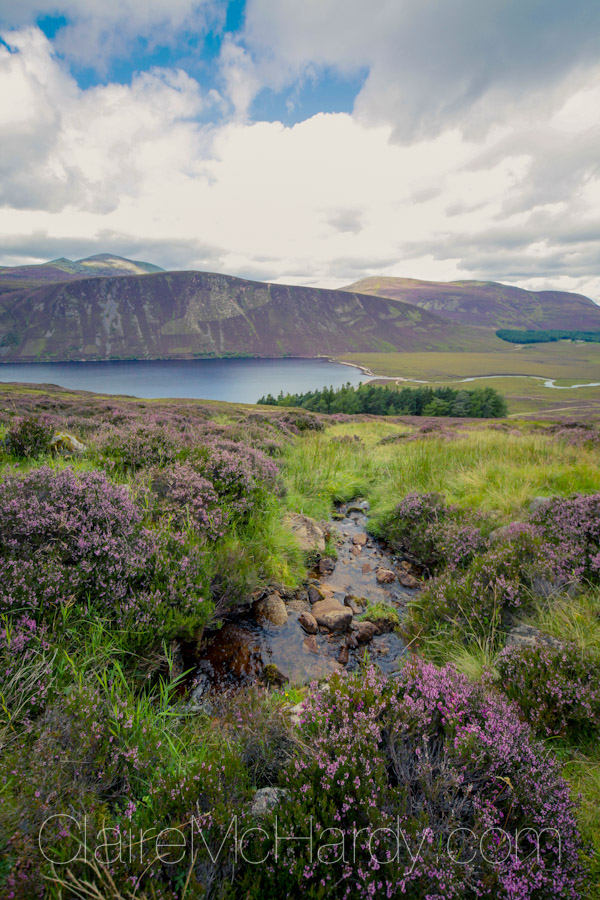 Landscape & Nature-24.jpg