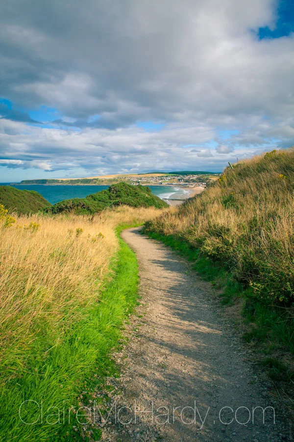 Landscape & Nature-21.jpg