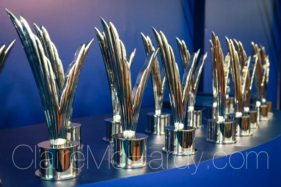 VIPs & Awards-2.jpg