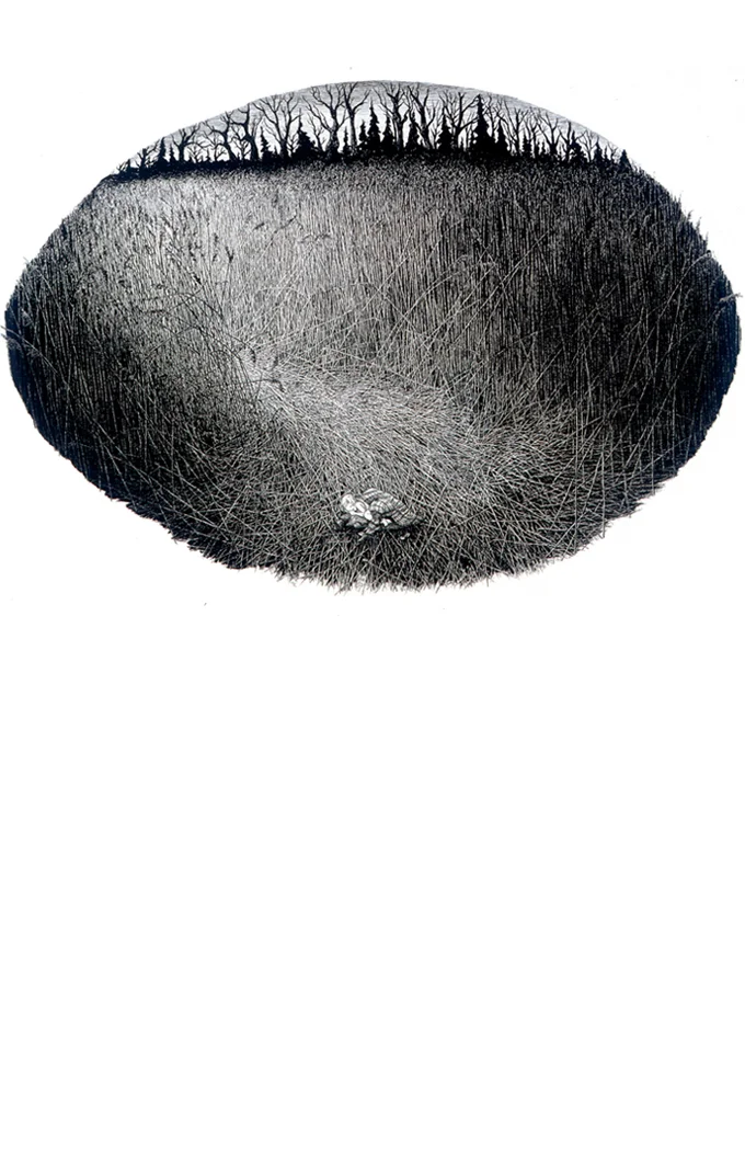 Refuge 2005 ink on paper 52 x 60 inches