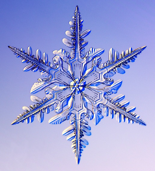 Crystal Bliss: A History of Snowflake Photography