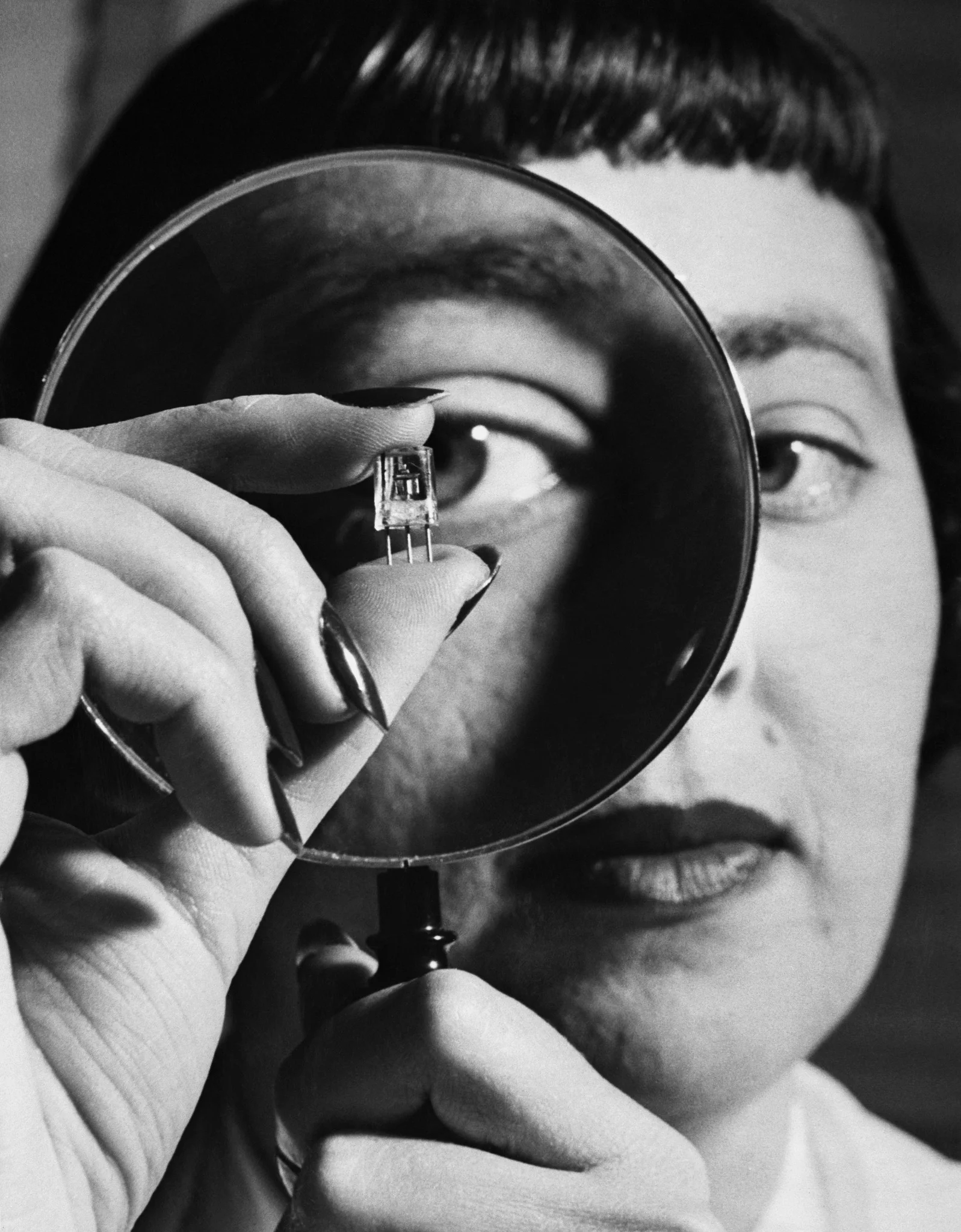 Radiolab Scavenger Hunt