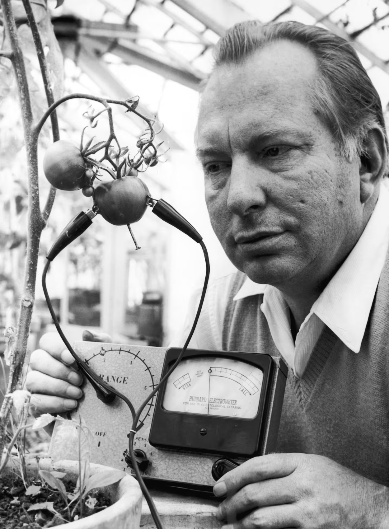 Long Strange Quest to Detect Plant Consciousness, Boston Globe, 2012
