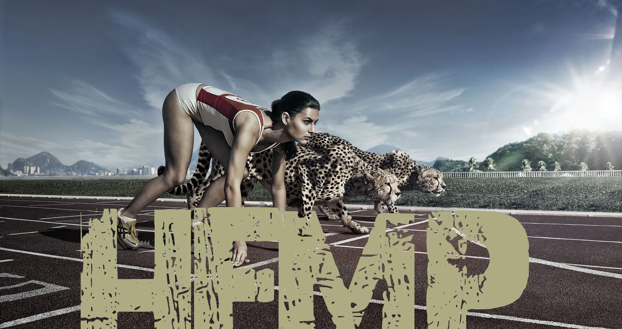 4个原因：麻（Hemp）蛋白是最好的蛋白源（不是之一）