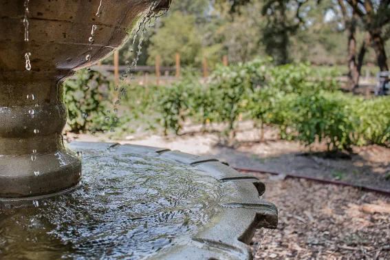 Fountain_small.jpg