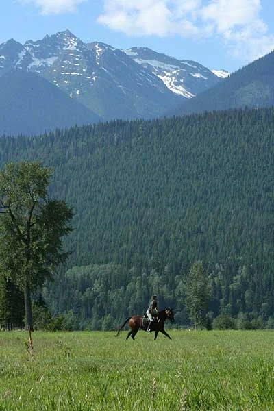 studfieldride.jpg