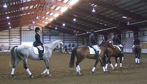 Bam Bam Rubble: Reserve Overall Freestyle Champion, First Level Rising Stars Dressage Show Aug. 27-28 2010, Chilliwack BC