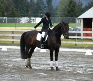 "Blue Beyond," 1st schooling show, 2011, 68% Training Level, Vancouver Island.