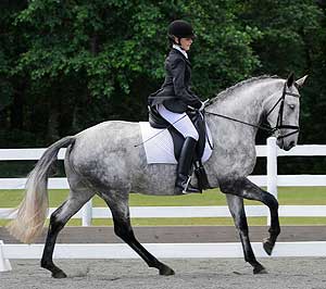 Bam Bam Rubble: Overall High Point Award, M.I.C.A. Dressage Show, Vancouver Island, summer 2010