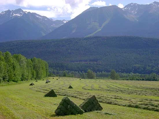 hayingmountains.jpg