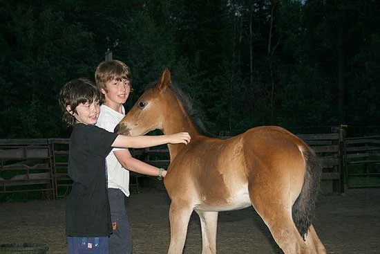 kidscolt.jpg