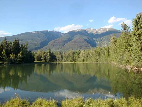 lakepond.jpg