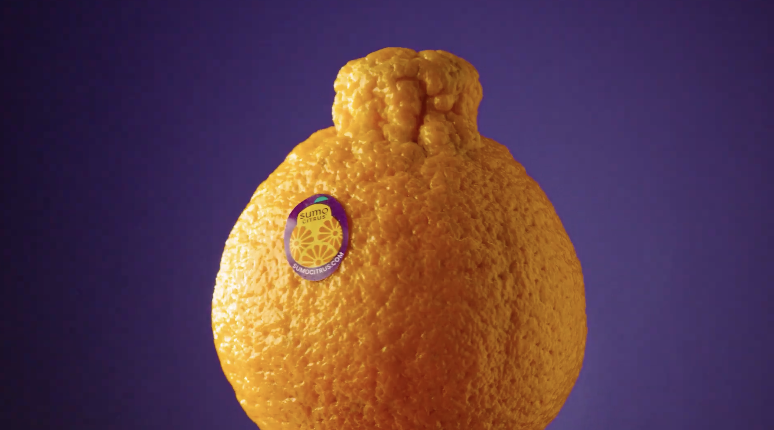 SUMO CITRUS