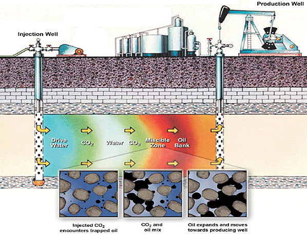Source: California CCS Coalition