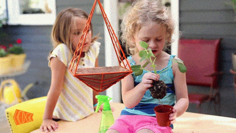 HEDGEkids.gif
