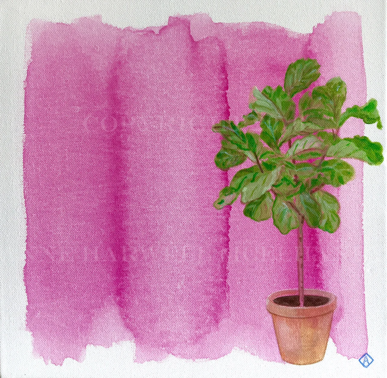 fiddle leaF FIG annechovie watermark.jpg