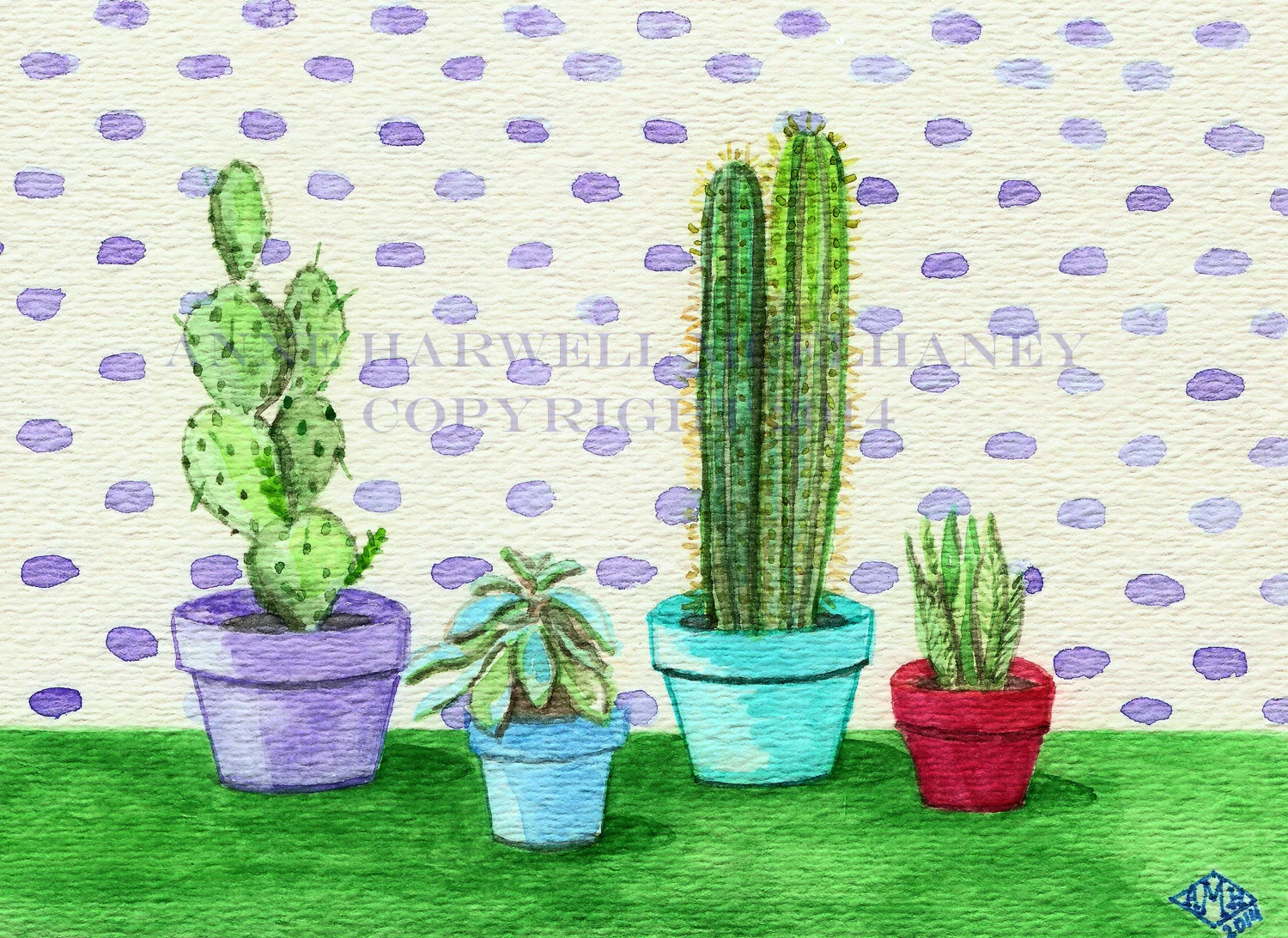 cactus collection wtrmrk.jpg