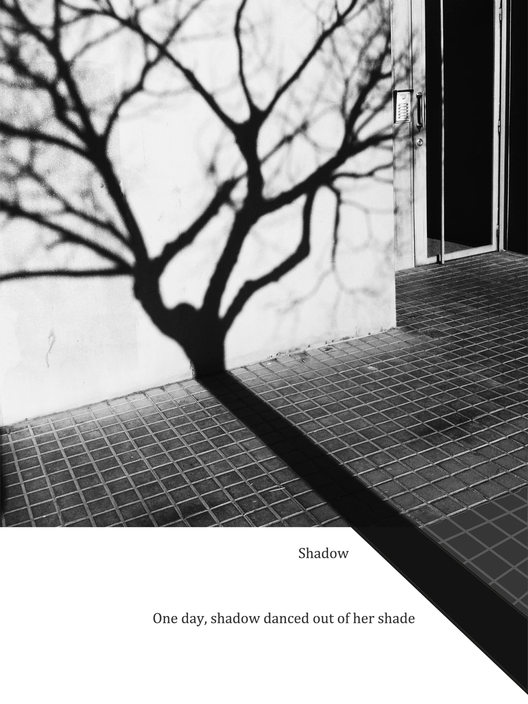 Shadow gyclee fine art print on photolux pearl paper 2016 15 x 20 cm