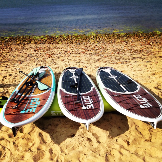 Stand up Paddle boards for rent
