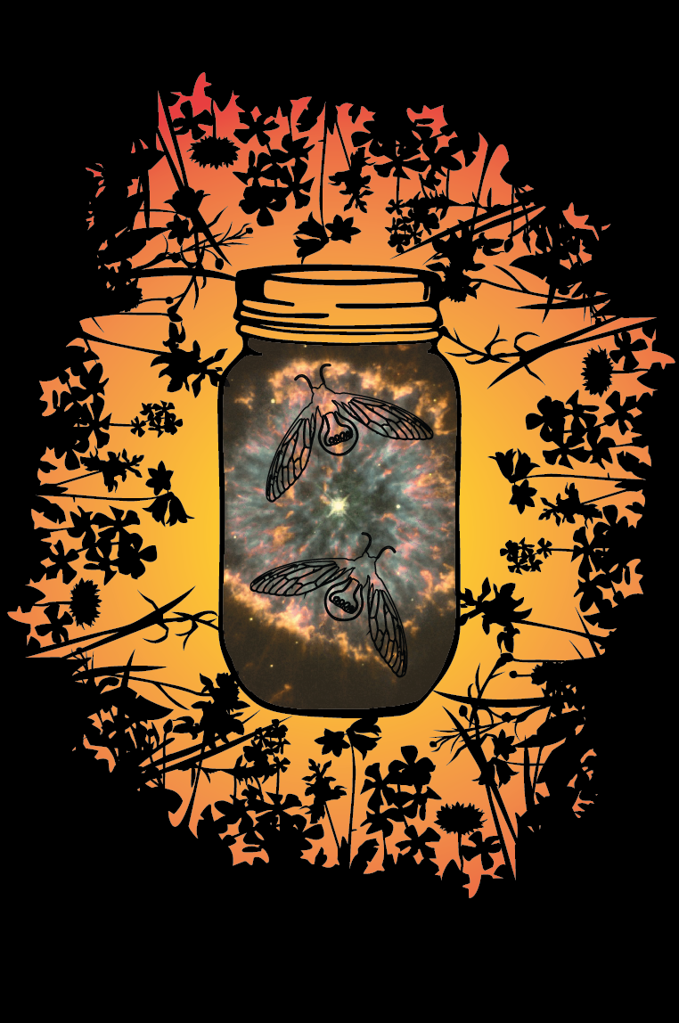Catching Fireflies