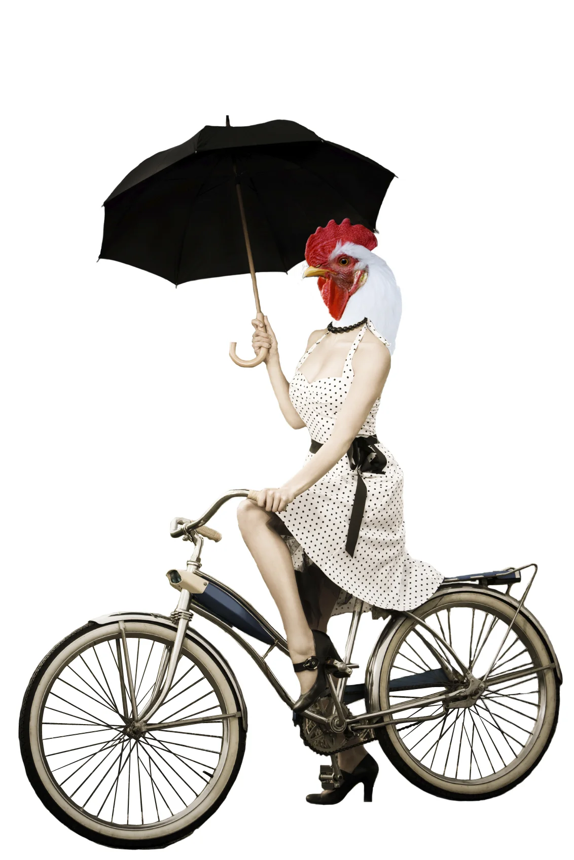 chicken_and_bike.jpg