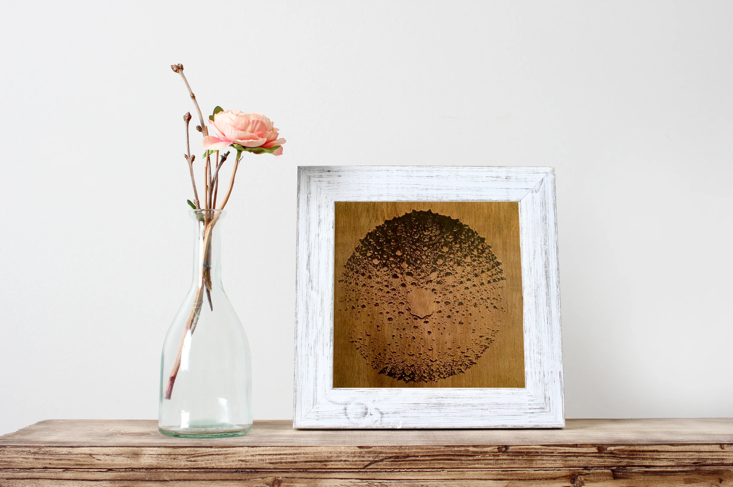 urchin_framed.jpg