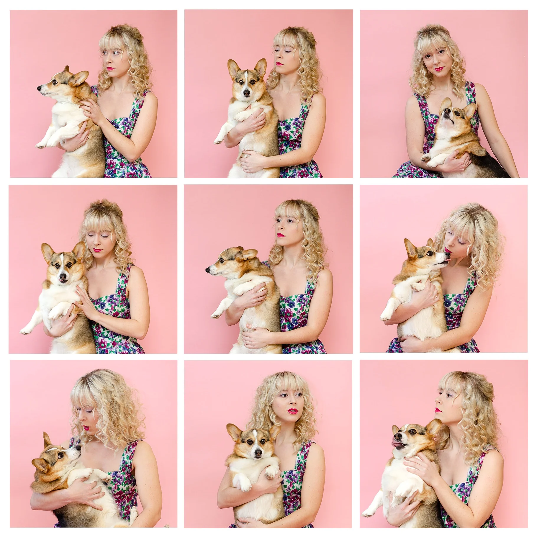 The many faces of Caitlynn & Sigrid the Corgi…