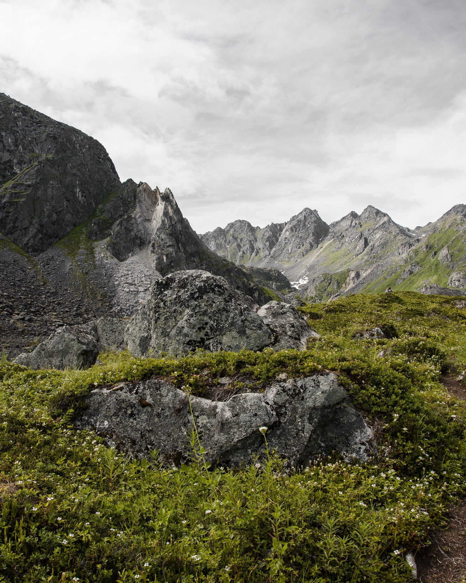 Hatcher+Pass+Alaska+Landscape+Hikes+Near+Anchorage+Photographer+Miranda+Kelton+Photography+1.jpg