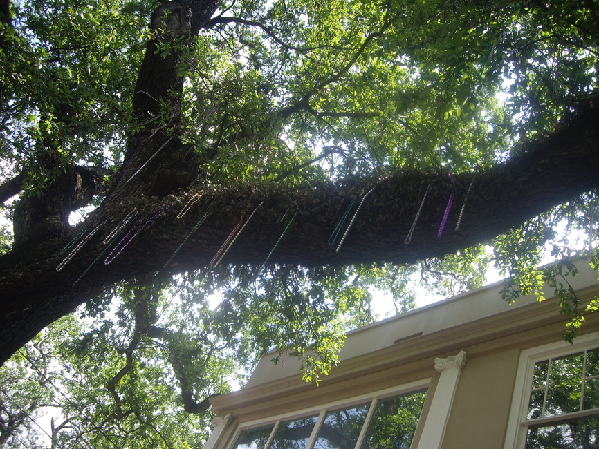 New Orleans, Louisiana - April 2011