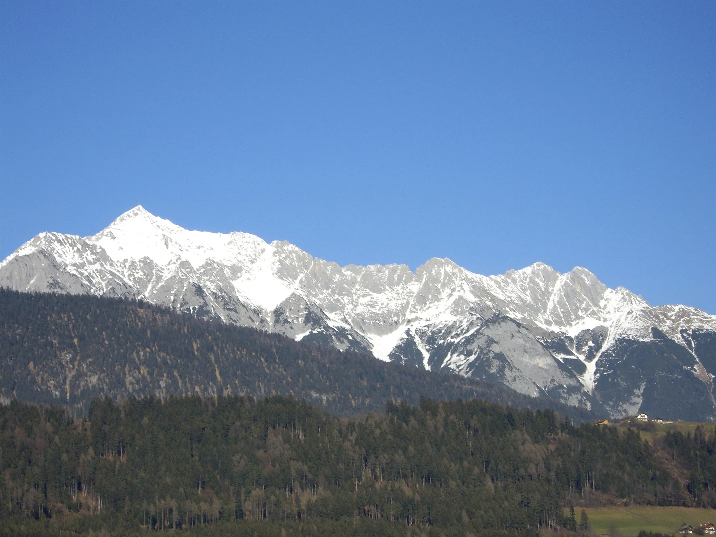 IMGP0363.JPG